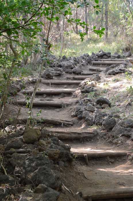 Sentier Piton Grande Anse
