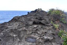 tafoni