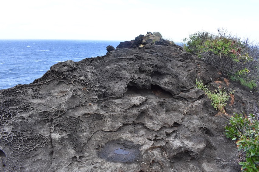tafoni