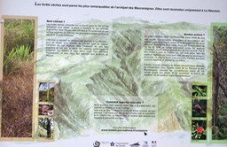 Forêt sèche de la Grande Chaloupe
