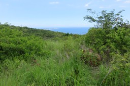 La Pointe des Galets au loin