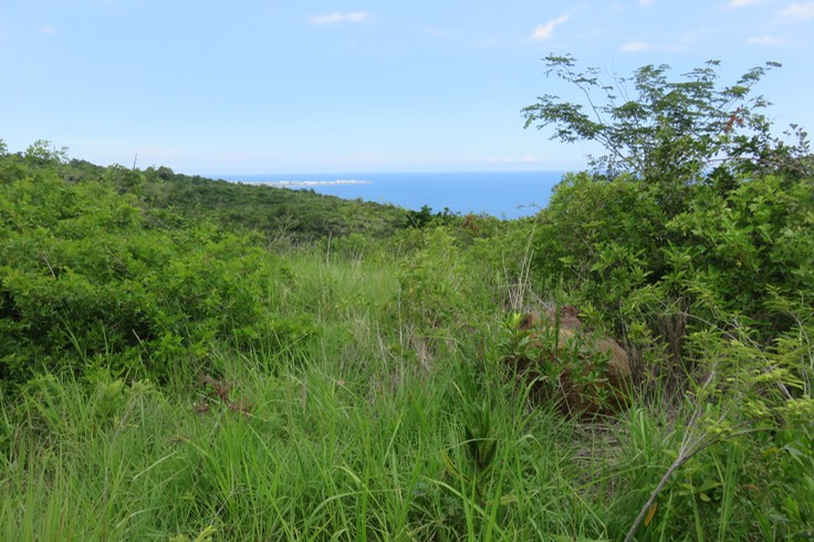 La Pointe des Galets au loin