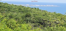 Le Port vu du haut de la Grande Chaloupe