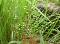 P1010753