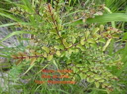 P1010764
