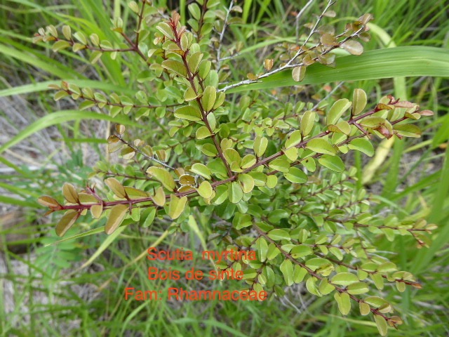 P1010764