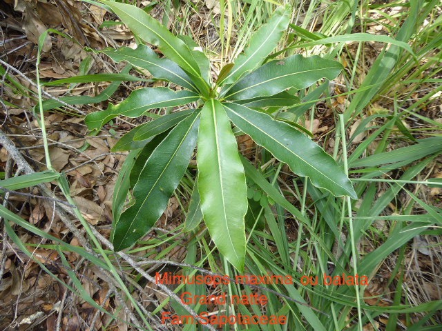 P1010775