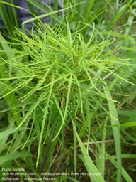 P1020983