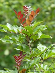 P1020986