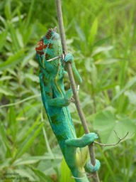 P1030023