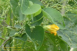 P1030084