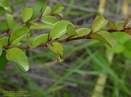 P1030150