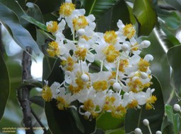 P1030260