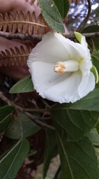 20160426_104002