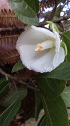 20160426_104003(0)