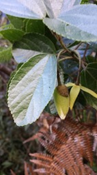 20160426_104133