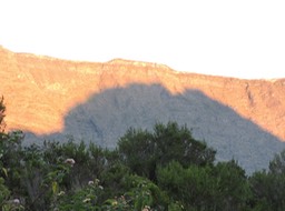 24 l'ombre du monstre 