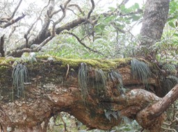 DSCN0171
