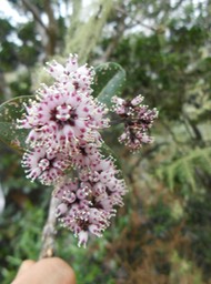 DSCN0188