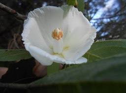 DSCN0255