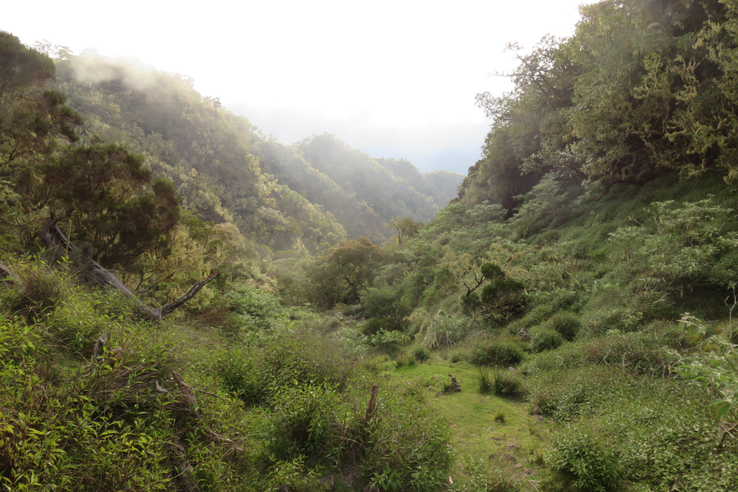 La ravine qui descend de Plateau Kelval