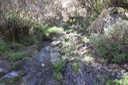 Murmure de ravine