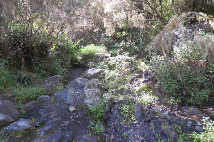 Murmure de ravine