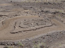 mosaïque naturelle