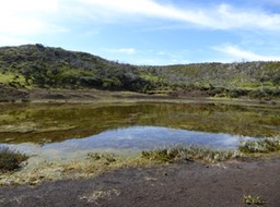 P1230506