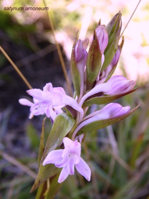 P1230533