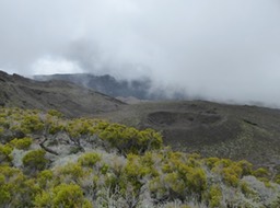 P1230672