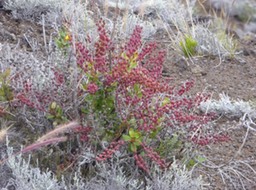 P1230759