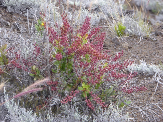 P1230759
