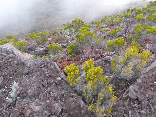 P1230777
