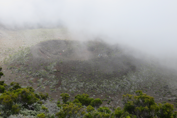 Strangers in the fog