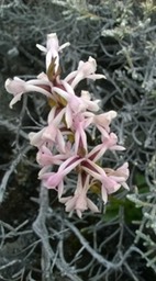WP_20160223_003