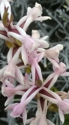 WP_20160223_005