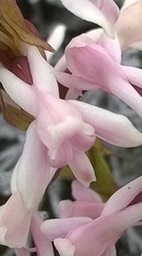 WP_20160223_012