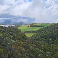 Vue générale 204.jpeg