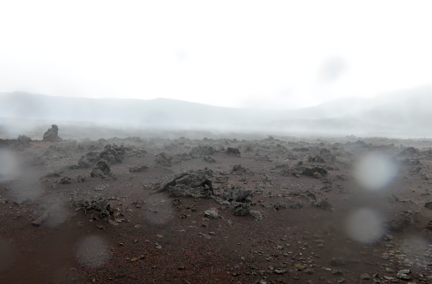 8. Dans la Plaines des Sables