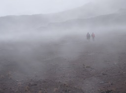 Dans la plaine des Sables