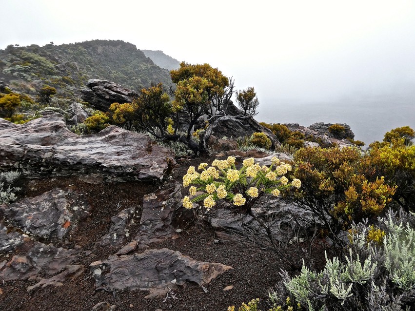 P1002403