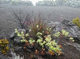 P1002467