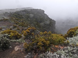 P1002507