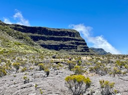 IMG_4618