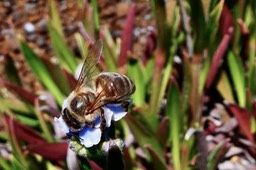 P1038426