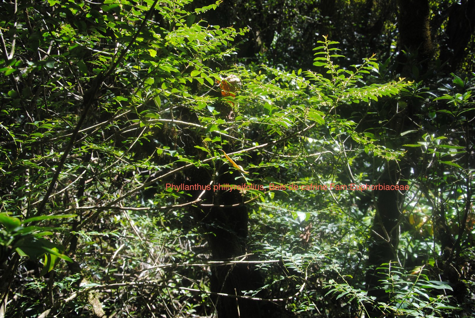 DSC_0073.JPG