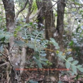 DSC_0086.JPG