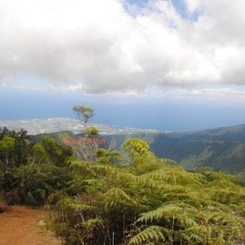 DSC_0087.JPG