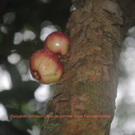DSC_0123.JPG